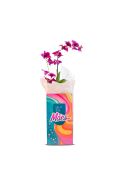 Flor Orquidea Denphalaen Pt.12 351