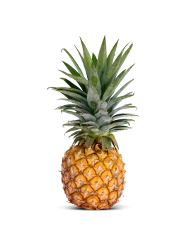 Abacaxi Havai Unidade