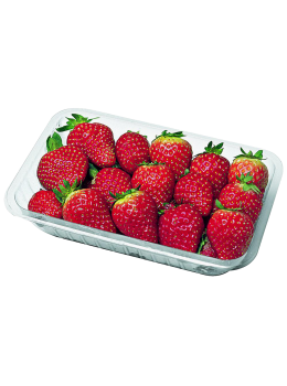 Morango Bandeja 200g Carvalho
